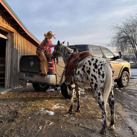 Life on the range is a breeze for professional rancher and Ram Truck owner, Emmie Sperandeo. From rustling cattle to raising a family of farm animals—this is how strong women get ranching done 💪#womensmonth Women in Ranching.  Visit us from 9-8 pm today.  #carolinachryslerdodgejeepram #fastfairandfriendly #chrysler #dodge #ram #jeep #servicematters #thecustomerisalwaysright Emmie Sperandeo, Rancher Aesthetic, Herding Cattle, Womens Month, Farm Lifestyle, Ram Truck, Curl Lashes, Farm Trucks, Ranch Life