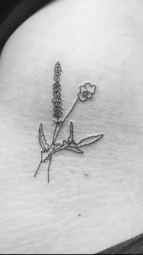 flower tattoo, violets, lavender, lavender sprig Violet And Lavender Flower Tattoo, Violets And Lavender Tattoo, Violet And Lavender Tattoo, Sappho Tattoo, Tattoo Lavender, Medical Tattoos, Practice Tattoos, Antique Tattoo, Tat Inspiration