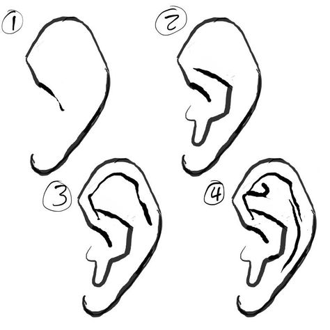 How to draw the Ear by Paperbag-Ninja Ear Art, Body Drawing Tutorial, Human Anatomy Art, 캐릭터 드로잉, Anatomy Drawing, Digital Painting Tutorials, Figure Drawing Reference, Body Drawing, The Ear