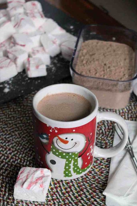 Malted Milk Powder, Malt Recipe, Hot Chocolate Mix Recipe, Homemade Hot Cocoa, Homemade Spice Mix, Hot Chocolate Recipe, White Hot Chocolate, Malted Milk, Chocolate Powder