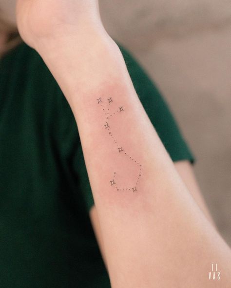 Scorpius Constellation, Euphoria Tattoo, Scorpio Tattoos, Scorpio Constellation Tattoos, Scorpio Constellation, Simple Arm Tattoos, Astrology Tattoo, Full Tattoo, Nyc Tattoo