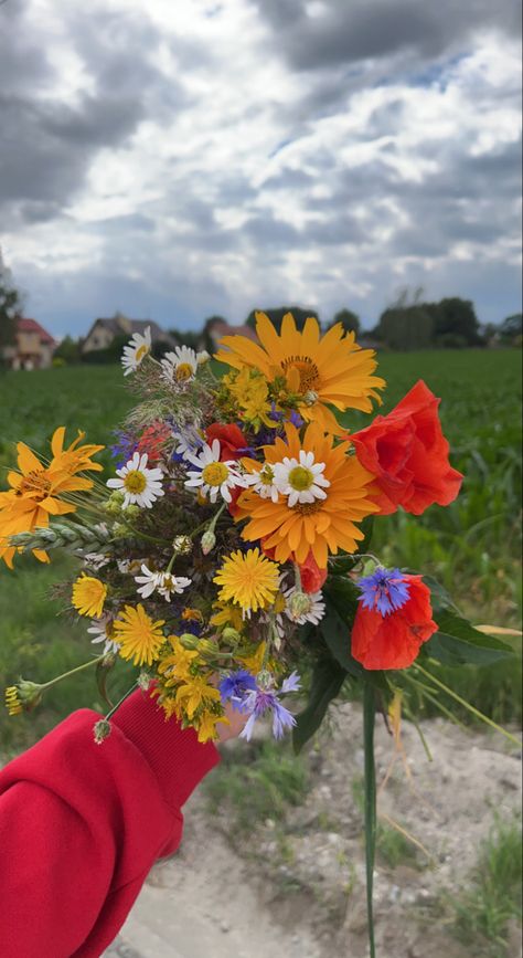 Handpicked Flower Bouquet, Boquetes Of Flowers Aesthetic Photo, Bright Wild Flowers, Lucille Core Aesthetic, Handpicked Flowers Aesthetic, Wildflower Bouquet Aesthetic, Courtship Ideas, Bunch Of Flowers Aesthetic, Wild Flowers Aesthetic