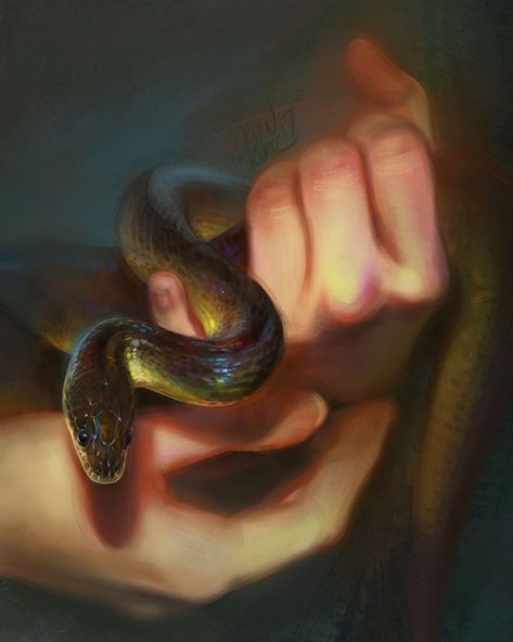 Fantasy Animal Paintings That Show The Real Magic In The World Snake Study Drawing, Tamberella Art, Animal Artists, Snake Painting, Lucid Dream, Snake Art, Animal Study, Amazing Artwork, Fantasy Paintings