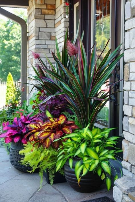 Front Door Planter Ideas, Florida Plants Landscaping, Big Potted Plants, Door Shade, Outdoor Planter Ideas, Florida Landscaping, Tropical Garden Design, Small Front Yard Landscaping, Potted Plants Outdoor