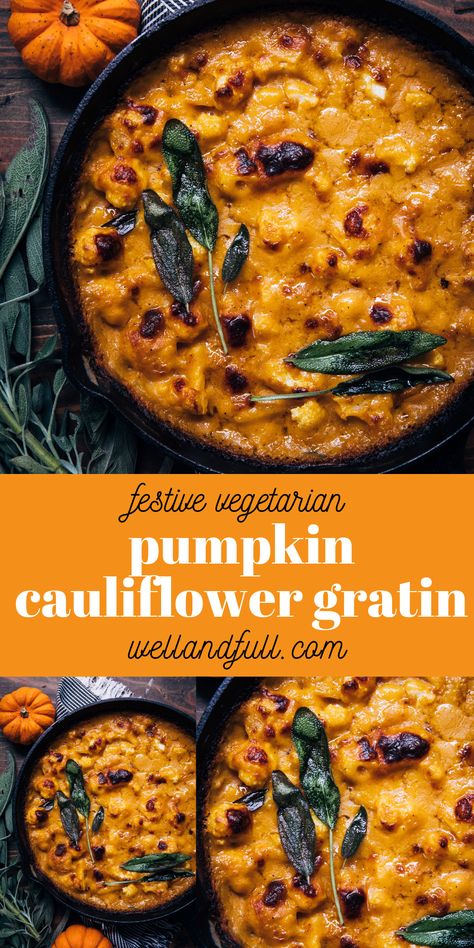 This is a festive #vegetarian Pumpkin Cauliflower Gratin that would be perfect for #Thanksgiving! Pumpkin Cauliflower Gratin, Vegan Cauliflower Thanksgiving Recipes, Pumpkin Cauliflower, Pumpkin Sausage, Autumn Recipes Vegetarian, Pumpkin Mac And Cheese, Fall Meals, Vegetarian Mains, Cauliflower Gratin