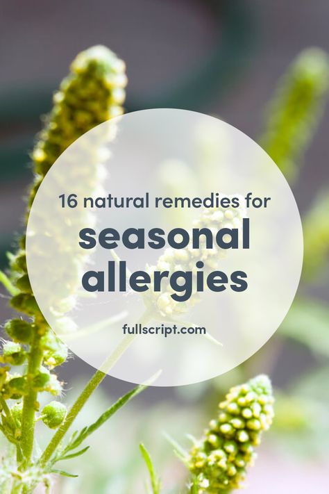 Ragweed Allergy Remedies, Ragweed Allergy, Summer In California, Remedies For Allergies, Medical Remedies, Home Remedies For Allergies, Natural Remedies For Migraines, Natural Remedies For Allergies, Allergy Awareness