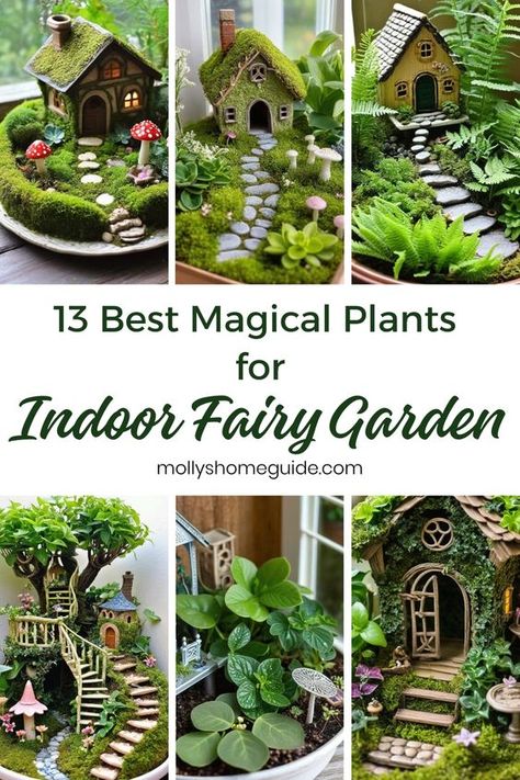 Looking to create a magical indoor fairy garden? Discover the best plants for indoor fairy gardens! These unique herb garden ideas will transform your space into a whimsical sanctuary. Learn about Fairy garden plants that thrive indoors and get inspired by DIY fairy garden ideas. With the right Indoor fairy garden plants, you can create beautiful miniature gardens in containers. Seeking Spider plant care tips? Explore our guide on how to care for these lovely plants. Fairy Garden Plants Indoor, Diy Indoor Fairy Garden Ideas, Tiny Plants Indoor, Cottagecore Fairy Garden, Fairy Garden Balcony, Woodland Fairy Garden, Garden Gnomes Ideas, Fairy Terrarium Ideas, Fairy Core Decor