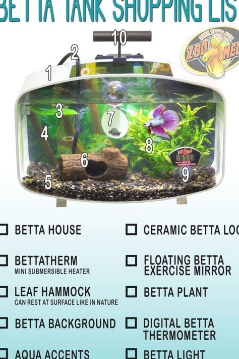 Fish Tank Ideas, Fish Tank Terrarium, Fish Garden, Betta Fish Types, Betta Aquarium, Betta Fish Care, Diy Aquarium, Betta Tank, Betta Fish Tank