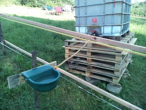 Diy Tile Shower, Navy Blue Deck, Horse Shed, Blue Deck, Horse Barn Ideas Stables, Horse Water, Horse Shelter, Free Energy Projects, Paddock Paradise