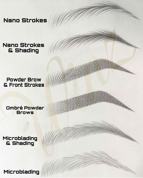 Microblading Eyebrows Training, Mircoblading Eyebrows, Types Of Eyebrows, Best Eyebrow Makeup, Membentuk Alis, Feather Brows, Brow Care, Eyebrow Design, Esthetician Marketing