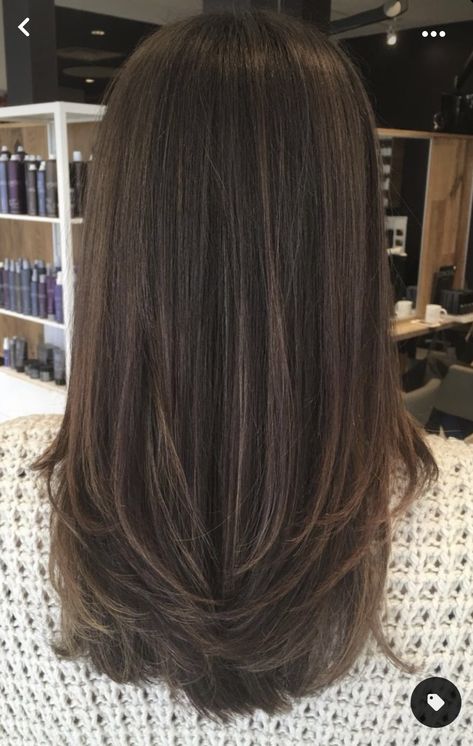 Medium Brown Hair With Layers Straight, Medium Length Rounded Layers, Long Layers Brunette Straight, Hidden Layers Long Hair, Long Straight Haircuts For Women, Long Layered Hair Asian Straight, Haircut Ideas For Long Hair Layers Brunettes, Long Layered Hair Straight Mid Length, Thick Asian Haircut