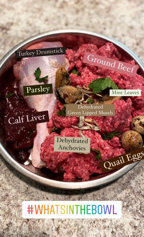 Dog Raw Diet, Raw Meal, Raw Feeding For Dogs, Raw Dog Food Diet, Raw Pet Food, Fish Eggs, Mussels Recipe, Raw Recipes, Dog Treats Homemade Recipes