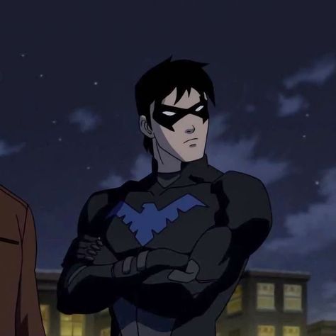 Batman Profile Picture, Nightwing Pfp, 2d Pfp, Spitfire Young Justice, Robin Pfp, Nightwing Wallpaper, Nightwing Young Justice, Robin Olds, Crush Cake