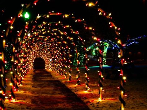 Sidewalk Archway, Driveway Arch, Light Driveway, Christmas Light Decorations, Archway Decor, Exterior Christmas Lights, Holiday Lights Outdoor, Diy Driveway, Outdoor Christmas Decorations Yard