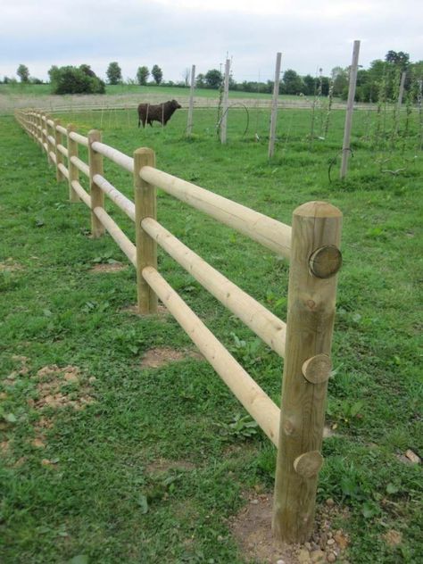 Split Rail Fence Ideas, Rail Fence Ideas, Log Fence, Livestock Fence, Post And Rail Fence, Ranch Fencing, Pasture Fencing, Split Rail Fence, Country Fences