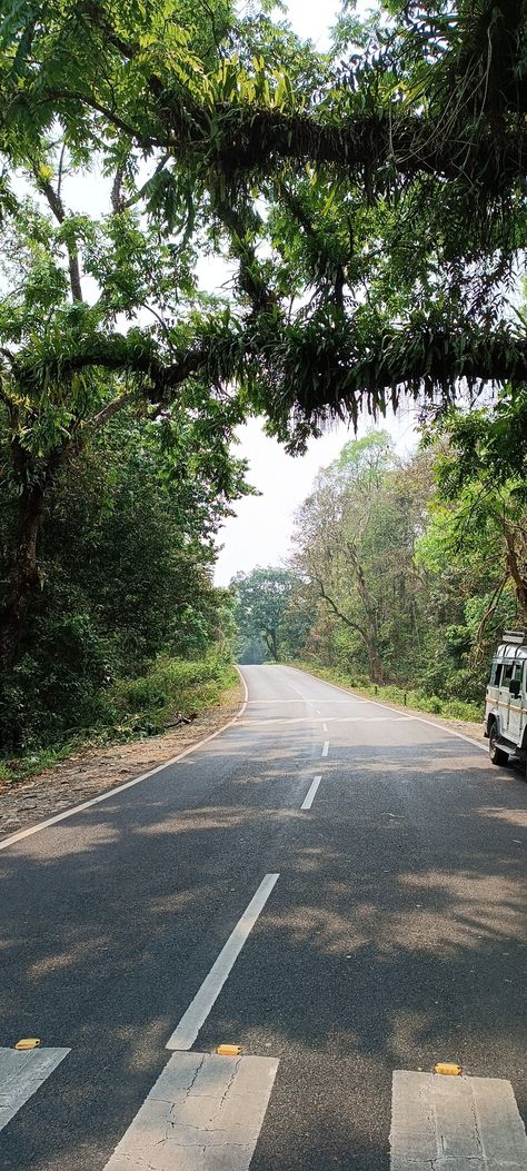 Road background Road Trip Aesthetic, Road Background, Trees Background, Trip Aesthetic, Background Images, Road Trip, Trees, Road, Quick Saves