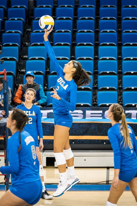 Ucla Volleyball, Jamie Robbins, Ucla University, Volleyball Tryouts, Volleyball Photography, Volleyball Wallpaper, Volleyball Gear, Volleyball Knee Pads, Female Volleyball Players