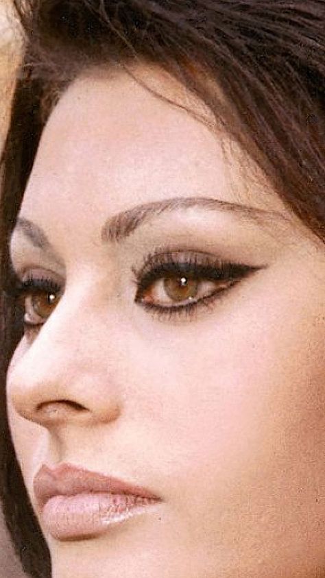 Italian Makeup, 60s Makeup, Sofia Loren, Retro Makeup, Cat Eye Makeup, Italian Actress, Cary Grant, Sophia Loren, Everyday Makeup