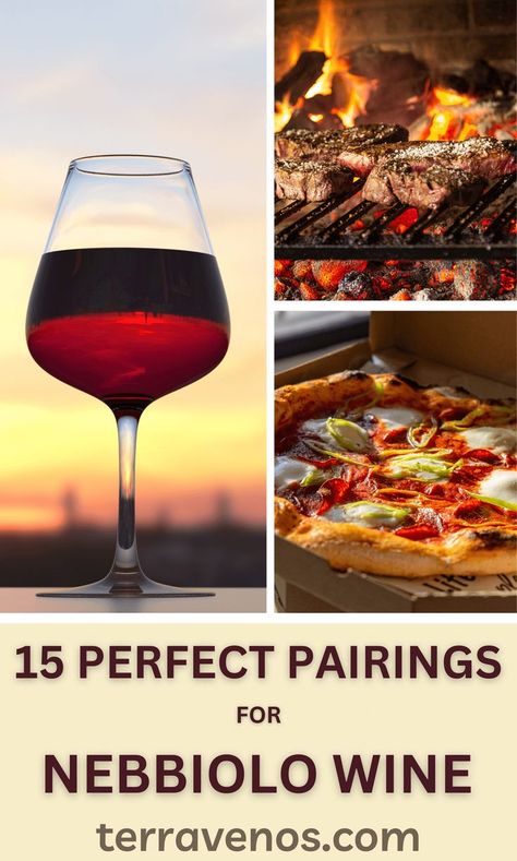 If you love the king of Italian wines, then get inspired with these quick and easy pairings. Nebbiolo's the ultimate food wine, here's why... #wine #nebbiolo #redwinelover Nebbiolo Wine, Quick And Easy Food, Barolo Wine, Italian Wines, Aged Cheese, Wine Tasting Experience, Food Pairing, Wine Guide, Everyday Dishes