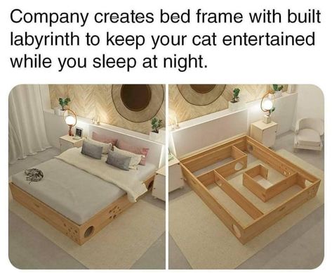 Labyrinth, Future House, Cat Memes, Bed Frame, Storage Bench, Toddler Bed, Home Diy, Dream House, Room Decor