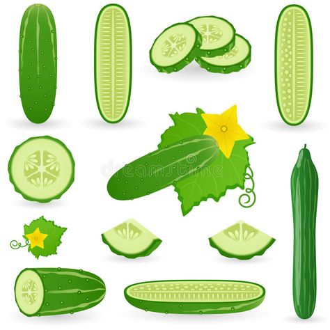 Eating Raw Vegetables, Agriculture Design, Recipe Book Covers, Restaurant Foods, Promotion Design, Vector Food, Surfboard Design, Raw Vegetables, Promotional Design