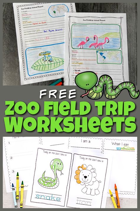 Field Trip Worksheet, Animal Report Template, Zoo Field Trip, Zoo Lessons, Animals Worksheet, Zoo Coloring Pages, Zoo Book, Zoo Activities, Animal Report