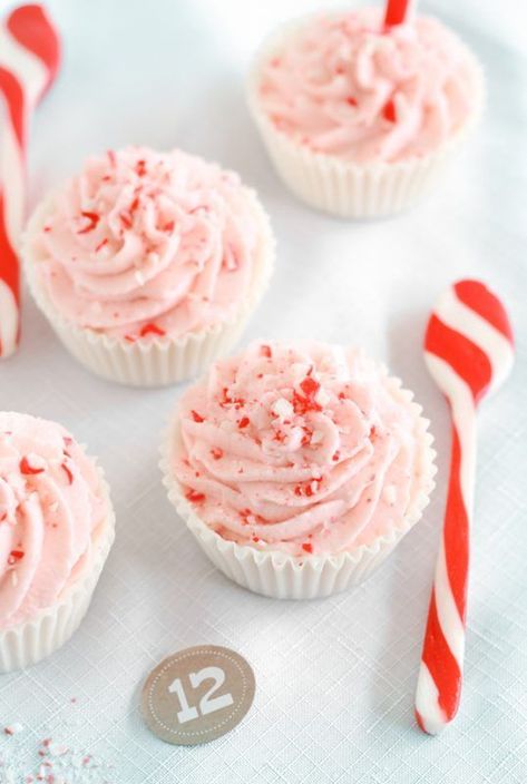 Christmas: Peppermint Recipes & Candy Cane Party Ideas.  If the idea of a Peppermint Mocha makes your day or your love peppermint recipes all Christmas season...this is your post!! #christmas #recipes #desserts #peppermint #baking #cookies #holiday #parties Peppermint Mousse, Candy Cane Recipe, Mousse Cups, Peppermint Recipes, Mint Recipes, Mousse Recipes, Peppermint Mocha, Chocolate Peppermint, Christmas Goodies