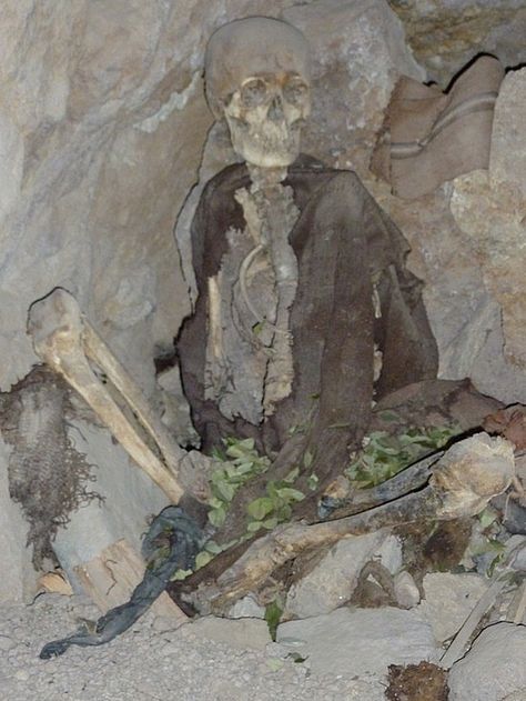 Double Row Teethed Skeletons found at Clearwater Minnesota: Out-of-place Artifacts (OOPArt) Ancient Artifacts Archaeology, Marine Archaeology, Out Of Place Artifacts, Curiosity Box, Nephilim Giants, Ancient Relics, Giant Skeleton, Alien Artifacts, Geode Rocks