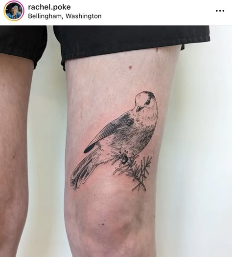 Bird Above Knee Tattoo, Bird Knee Tattoo, Dresses And Tattoos, Print Making Designs, Tattoos Inspiration, Knee Tattoo, Heck Yeah, Bird Tattoo, Dream Tattoos