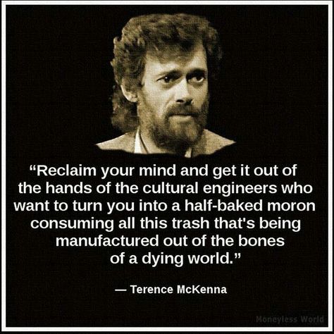 Terrance Mckenna quotes Soviet Visuals, Terence Mckenna, Theme Harry Potter, Ju Jitsu, Philosophy Quotes, What’s Going On, Quotable Quotes, Wise Quotes, Beards