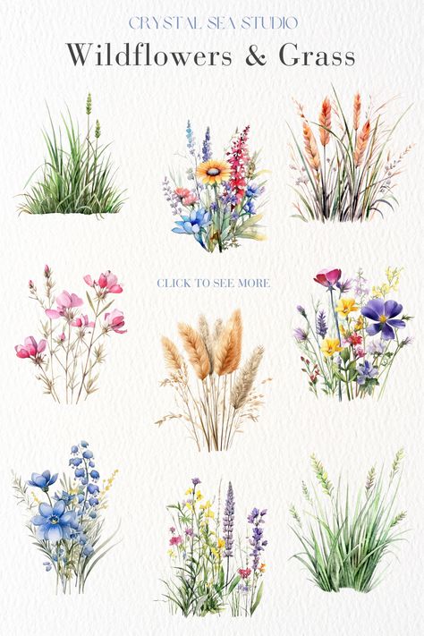 20 captivating clip art images of various wild flowers and lush grasses. Isntant Download. Wild Flower Illustration, Grass Clip Art, Wildflowers Illustration, Grass Watercolor, Watercolor Meadow, Grass Clipart, Grass Painting, Wild Flower Meadow, Watercolor Wildflowers