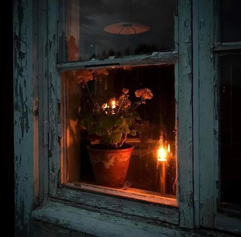 Botany Illustration, Window Candles, Rosé Aesthetic, Window View, Through The Window, Dark Photography, Dreamy Art, The Cottage, Christmas Mood