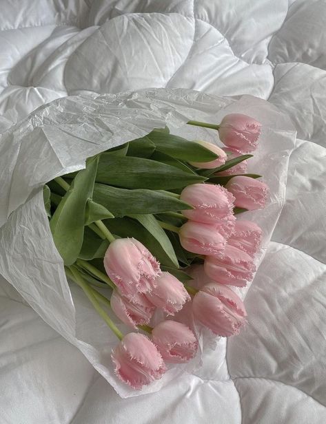 Widget Smith Ideas, Widget Smith, Boquette Flowers, Nothing But Flowers, Flower Therapy, Pink Tulips, Tulips Flowers, Love Flowers, My Flower