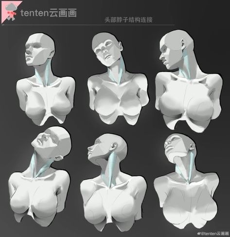 Celana Jogger Wanita, Female Anatomy Reference, Anatomy Tutorial, Human Anatomy Drawing, 얼굴 그리기, Human Figure Drawing, Human Anatomy Art, Anatomy Sketches, Anatomy Poses