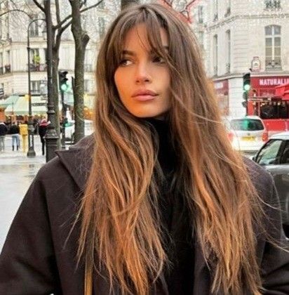 Long Hair Middle Part Bangs, Astetic Style, Volume Haircut, French Haircut, Honey Brown Hair, Long Brown Hair, Haircuts For Medium Hair, Haircuts Straight Hair, Long Hair With Bangs