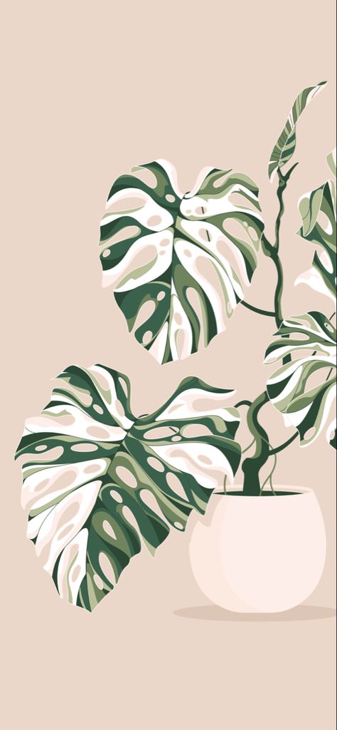 Plant Aesthetic Wallpaper Drawing, Asethic Ipad Homescreen, Alternative Iphone Wallpaper, Monstera Wallpaper Aesthetic, Plants Aesthetic Drawing, Plants Widget, Plant Wall Prints, Ipad Layout Homescreen, Aesthetic Plant Wallpaper