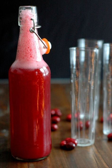 Fermented Cranberry Soda, Cranberry Soda, Fermented Soda, Fermenting Foods, Ginger Bug, Healthy Beverages, How To Brew Kombucha, Homemade Soda, Water Kefir