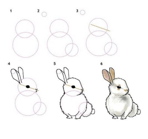 How To Draw Bunnies, Cute Animals To Draw, Animals To Draw, Wild Animals Drawing, Drawing Instructions, Draw Step By Step, Pencil Drawings For Beginners, Rabbit Drawing, Bunny Painting