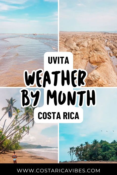 Weather in Uvita, Costa Rica by Month: What to Expect Uvita Costa Rica, Moving To Costa Rica, Costa Rica Travel, Costa Rican, Costa Rica, Travel Tips, Travel, Travelling Tips