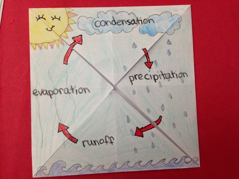 One Teacher's Adventures: Water Cycle Foldable Water Cycle Foldable, Water Cycle Worksheet, Weather Crafts, Middle School Science Experiments, Weather Unit, Primary Science, Interactive Science, Water Cycle, Third Grade Science