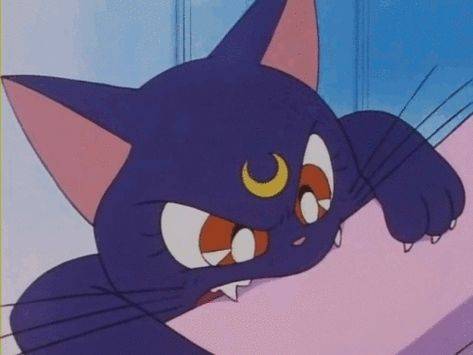 21 Unrealistic Expectations We Have About Cats Because Of 'Sailor Moon' - MTV Sailor Moon Gif, Luna Artemis, Sailor Moon Cat, Saylor Moon, Luna And Artemis, Sailor Moon Luna, Moon Icon, Moon Luna, Moon Cat