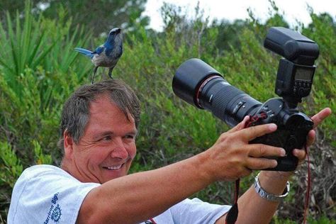 bird on photographers head Strange Photos, Human Interaction, 웃긴 사진, Foto Art, Funny Animal Memes, Nature Photographs, 귀여운 동물, Animal Memes, Good Job