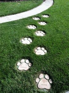 Digging Area For Dogs, Home Ideas For Dogs, Dog Park Plan Design, Dog Shelter Ideas Outdoor Diy, Home Dog Park, Cute Dog Room, Dog Yard Ideas, Dog Pool Ideas, Dog Room Ideas