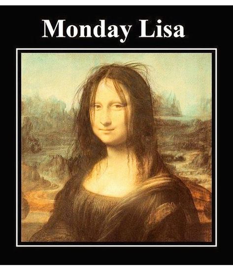 Funny-Hairdresser-Memes Funny Hair Memes Hilarious, Hair Humor Hilarious, Hair Memes Funny, Bad Hair Day Funny, Monday Lisa, Bored Meme, Hairstylist Memes, Hairstylist Humor, Hairdresser Quotes