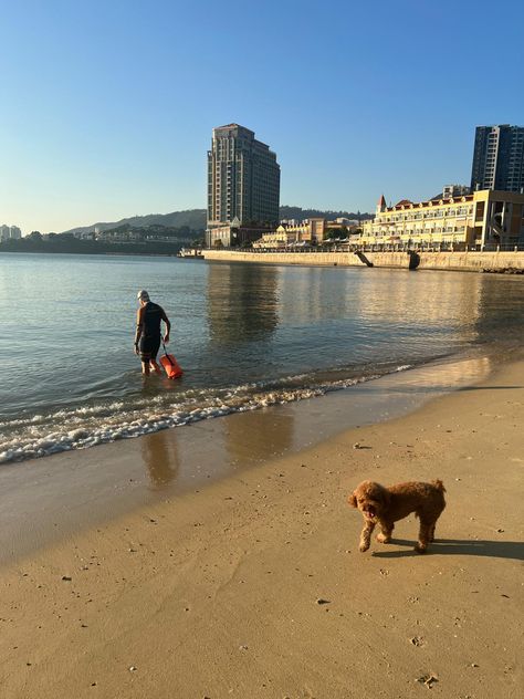 Hong Kong Beaches, Discovery Bay, December 2024, Beach Vibes, Beach Vibe, Asia Travel, Nature Travel, City Life, Ig Story