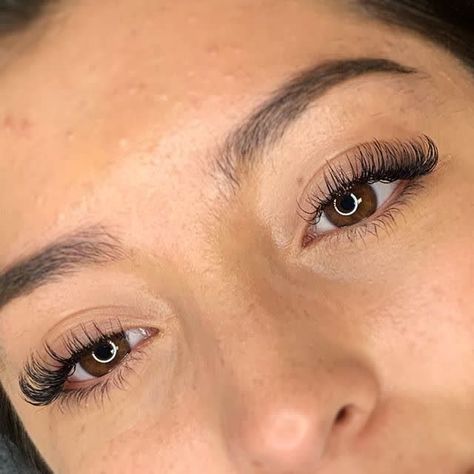 Single Lash Extensions, Classic Eyelash Extensions, Eyelash Extensions Care, Eyelash Extensions Classic, Natural Fake Eyelashes, Evening Eye Makeup, Botox Lips, Lashes Fake Eyelashes, Lash Extension Supplies