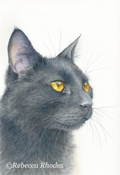 Art Videos For Kids, Cats Art Drawing, Painted Rocks Kids, Watercolor Tutorials, A Black Cat, Watercolor Cat, Painting Videos, Arte Animal, Cat Wallpaper