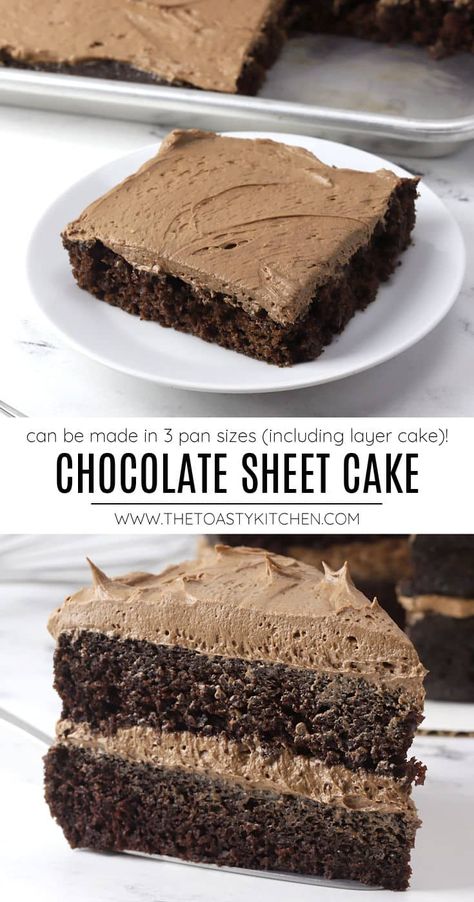 Chocolate sheet cake recipe by The Toasty Kitchen. Chocolate sheet cake is a moist and tender homemade cake with rich chocolate flavor. Topped with a velvety whipped chocolate buttercream frosting, it's perfect for chocolate lovers! This recipe can be made in three different pan sizes - 9x13, 13x18, or as a round layer cake. #chocolatesheetcake #sheetcake #9x13chocolatecake #13x18chocolatecake #chocolatelayercake #layercake #cakerecipe #chocolatelover #recipe Whipped Chocolate Buttercream Frosting, Whipped Chocolate Buttercream, Health Dessert Recipes, Chocolate Sheet Cake Recipe, Half Sheet Cake, Chocolate Sheet Cake, Layer Cake Recipes, Chocolate Buttercream Frosting, Sheet Cake Recipes