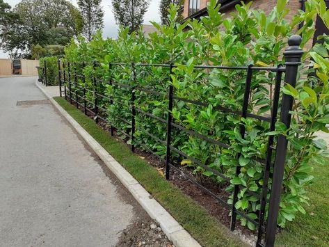 Estate Railings, Estate Fencing, Laurel Hedge, Fencing Ideas, Character Board, Rail Fence, Front Gates, Iron Fence, Front Yard Garden