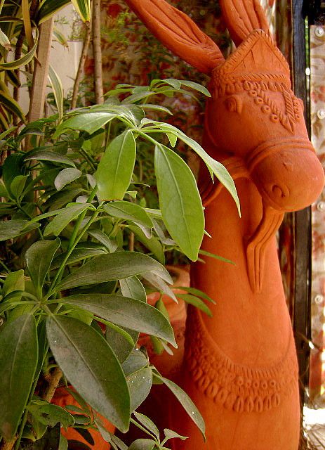 Bankura horse terracotta Bankura Horse, Horse Coloring, Photo Sharing, Sweet Home, Horses, Stone, Plants, Green, Color